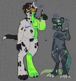 Custom / Ref